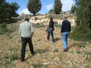 Red 'poppies' in spring - New hope - Nabi Samuel - 1 March 2011 - Photo: Sherry Ann