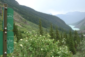     "Listen" - Plain of the Six Glaciers, Lake Louise, Alberta - Summer 2010 - Photo: Sherry Ann
